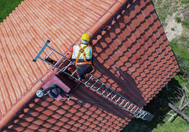Best Hot Roofs  in Earlvle, IL